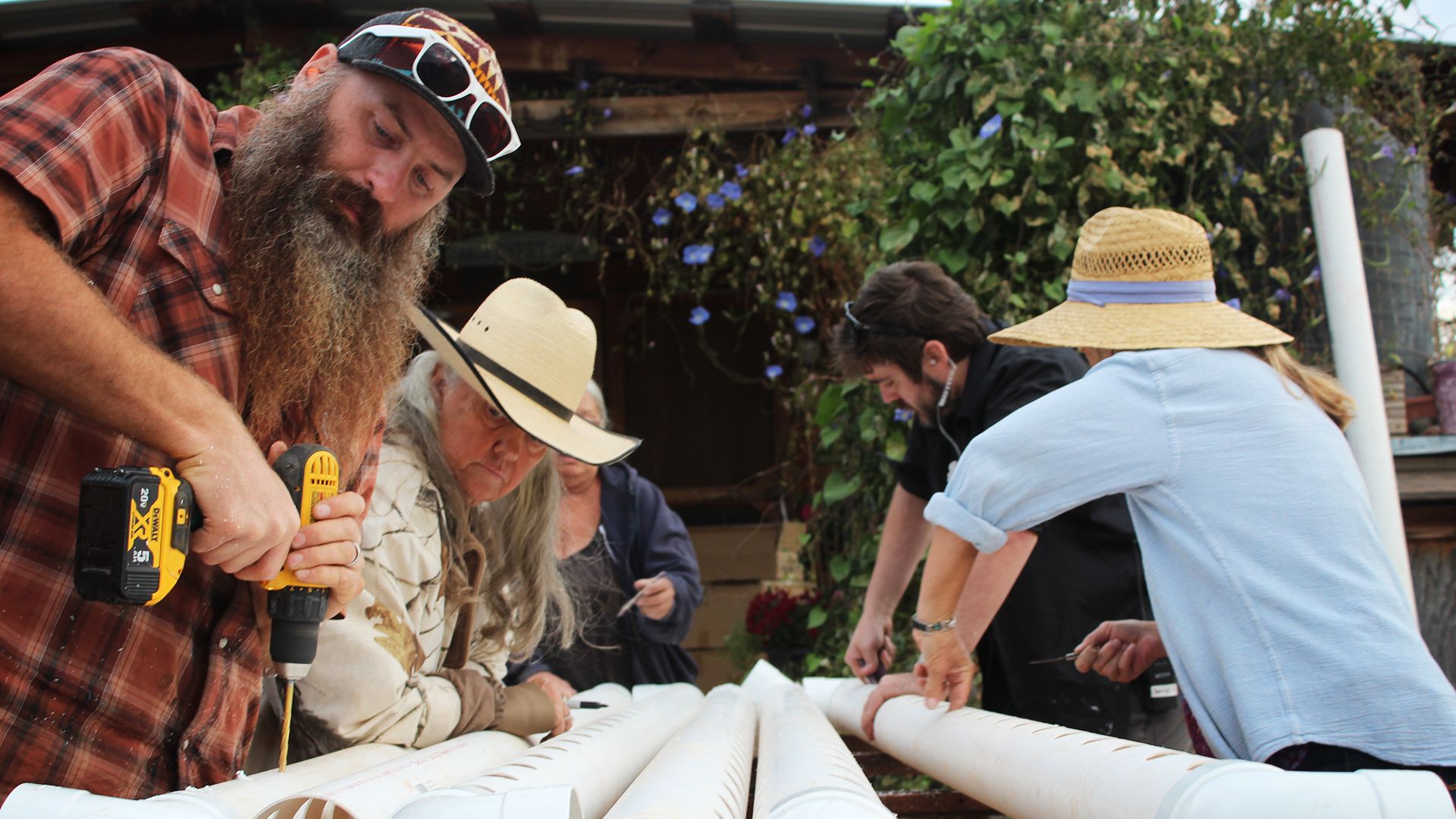 Schweine in der Wüste