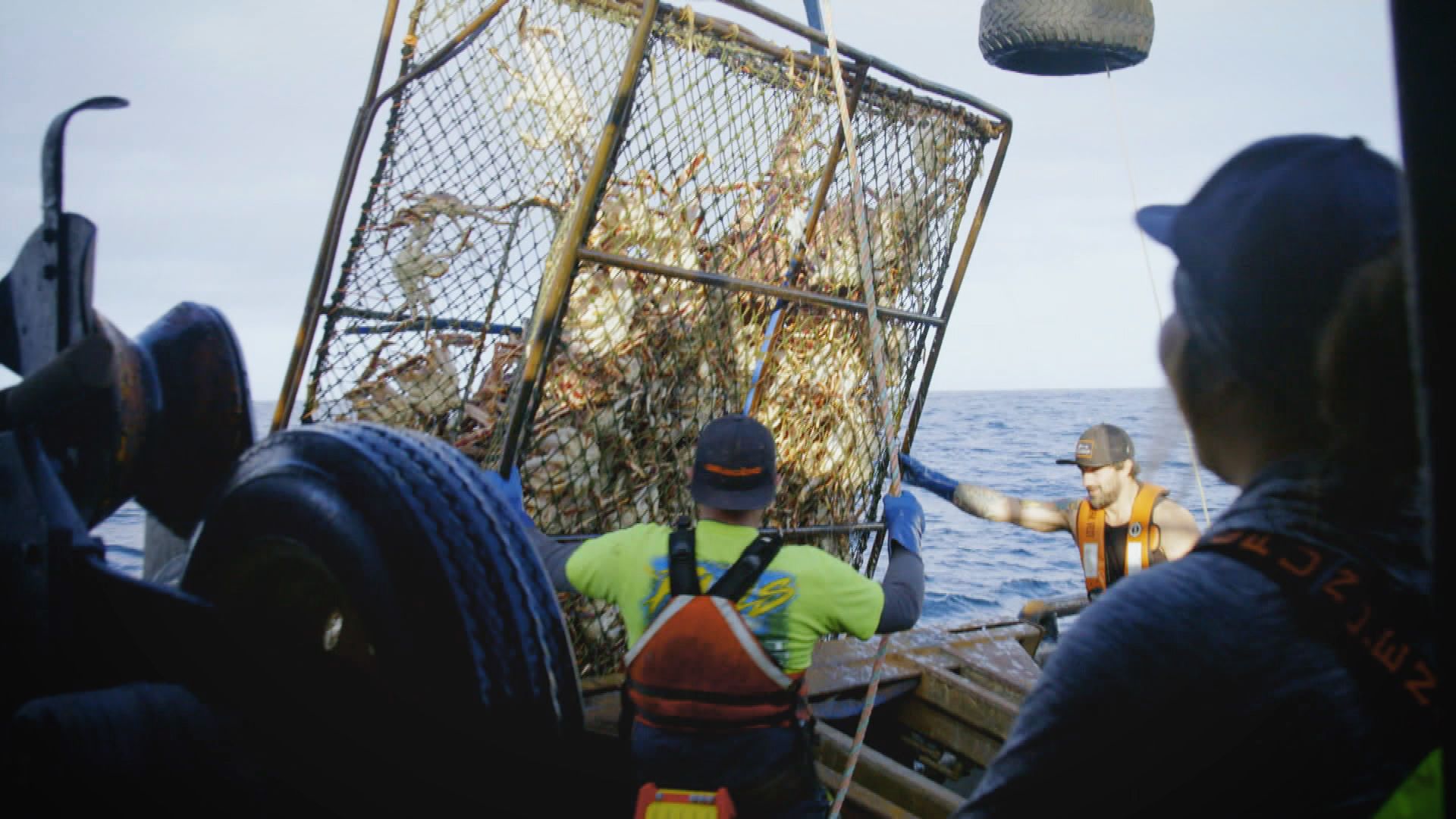 Im Reich der Goldenen Krabben