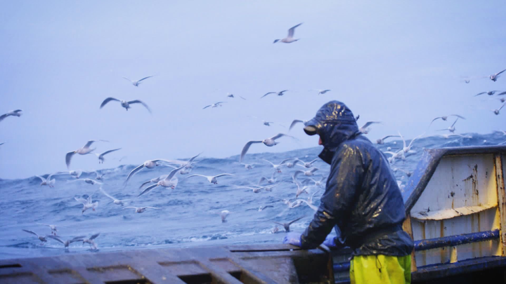 Riskantes Manöver vor Russland