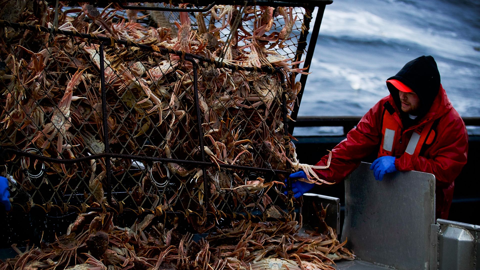 Decksmänner leben gefährlich