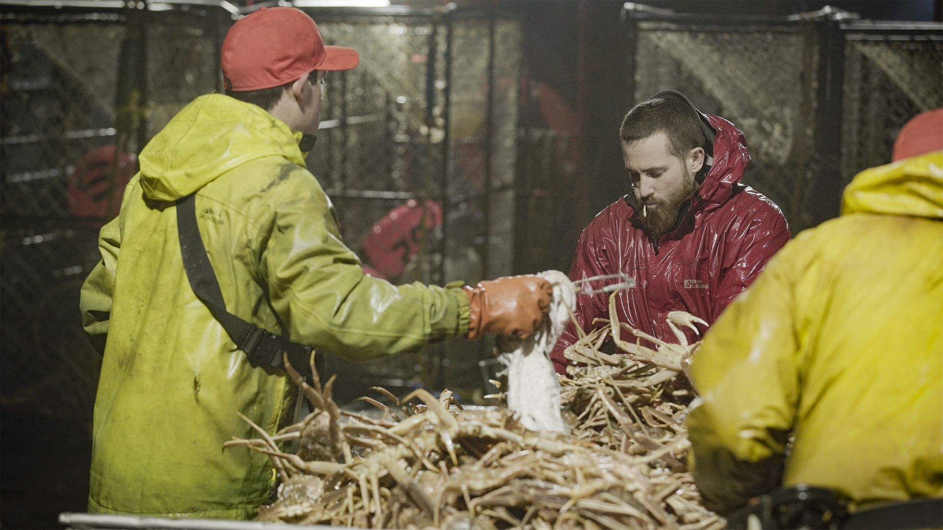 Wie der Vater so die Tochter