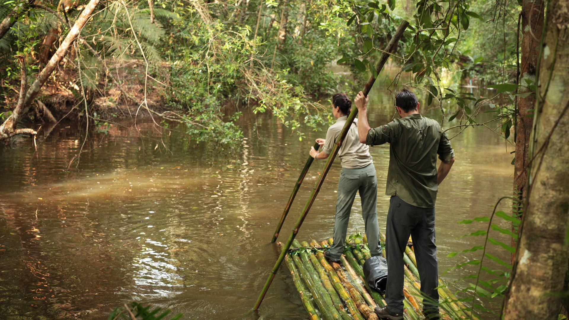 Auf der Jagd nach dem Tek-Tek-Monster