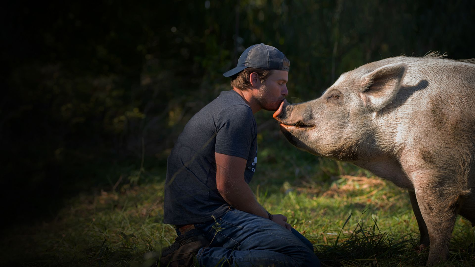 Animal Farm Michigan - Zuflucht für Tiere