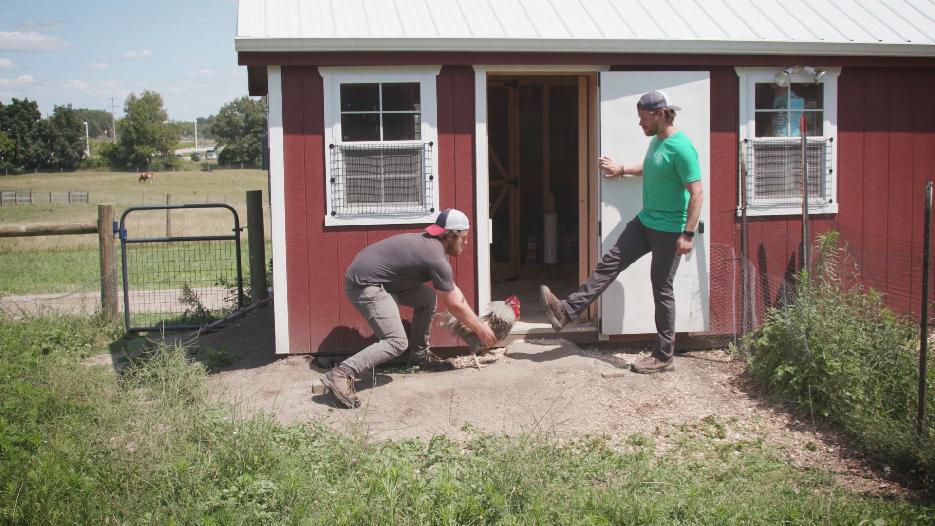Freiheit für Liz und Thor