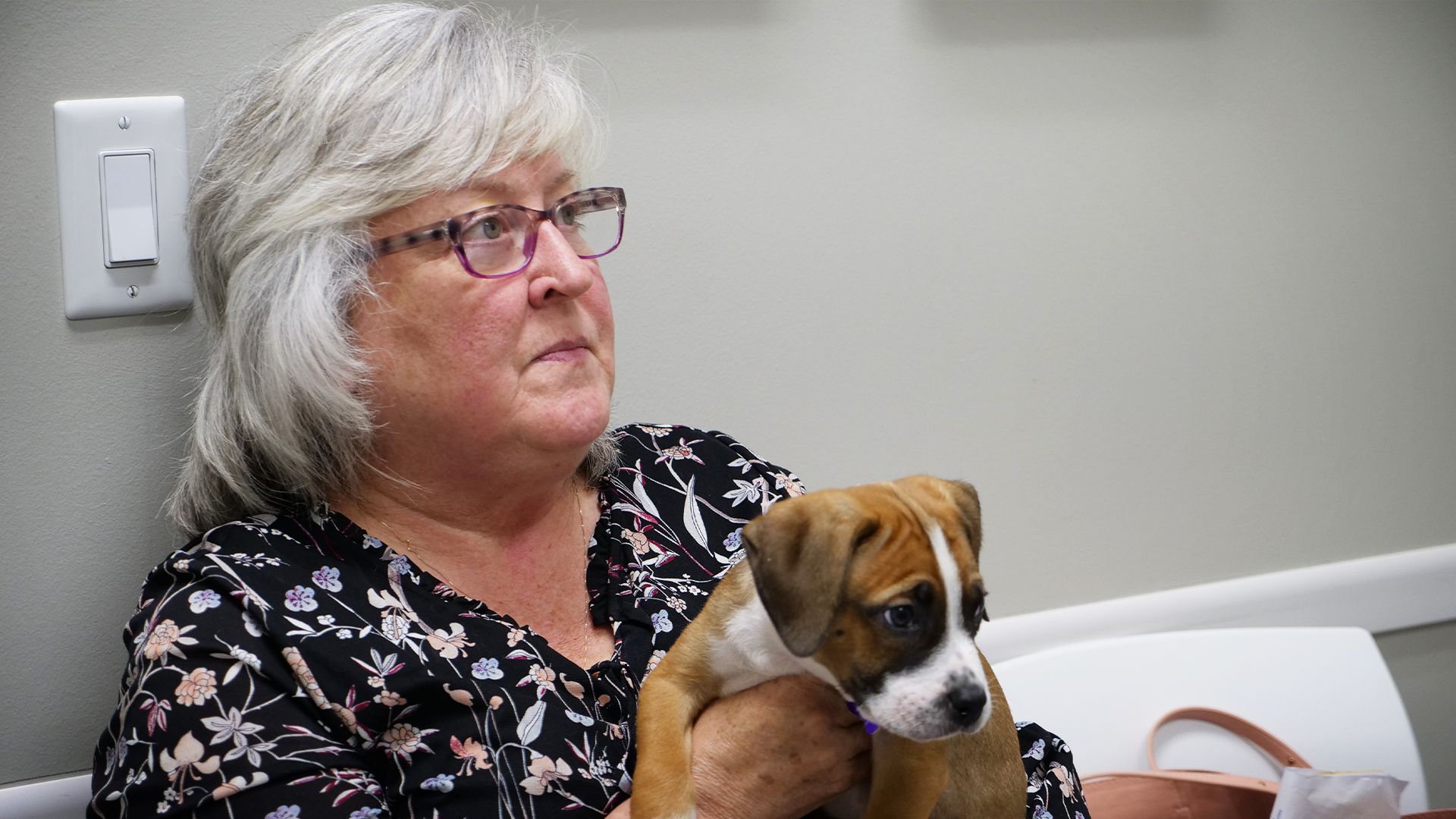 Ein Welpe in Lebensgefahr