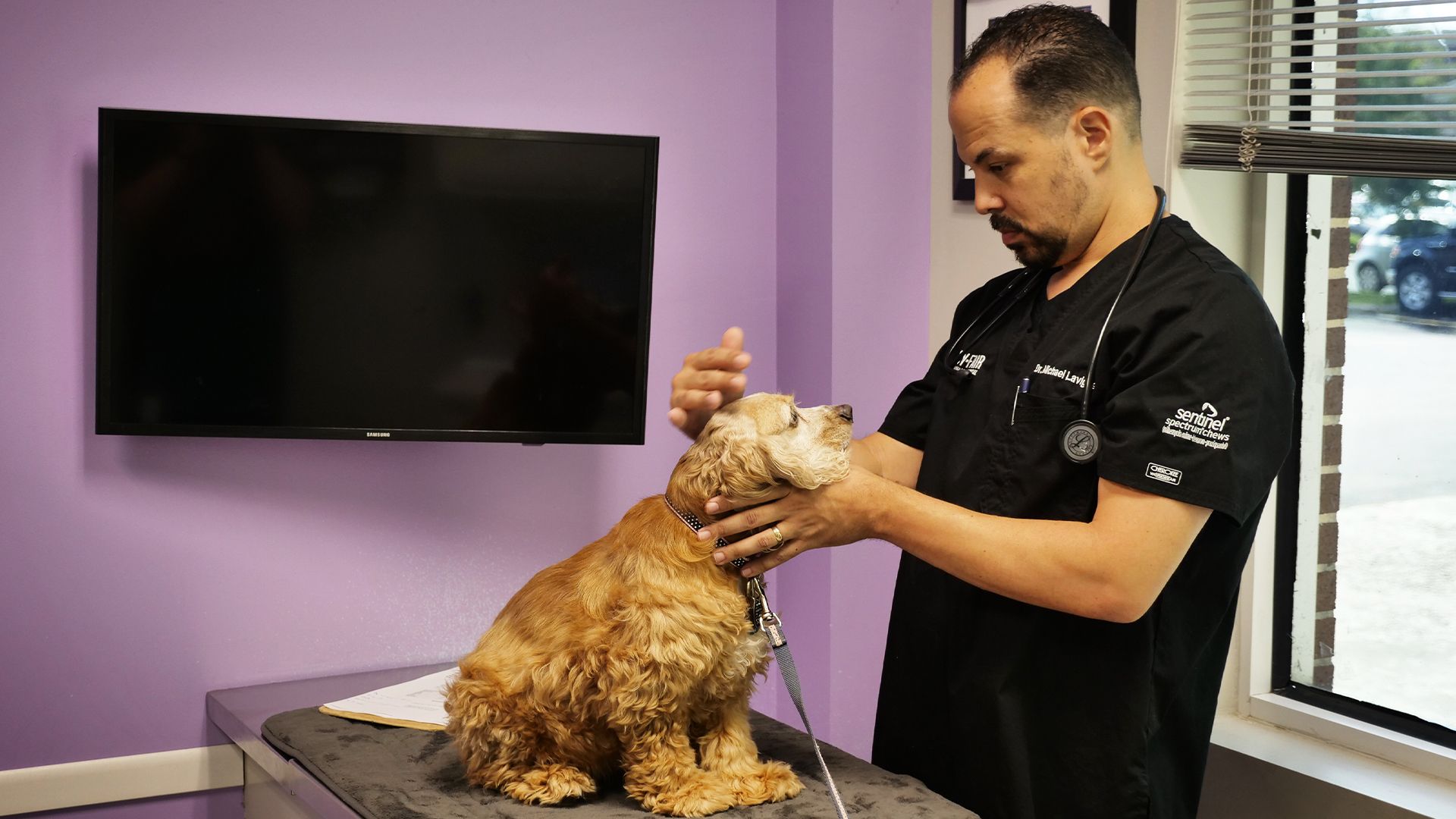 Kindersegen im Hause Blue