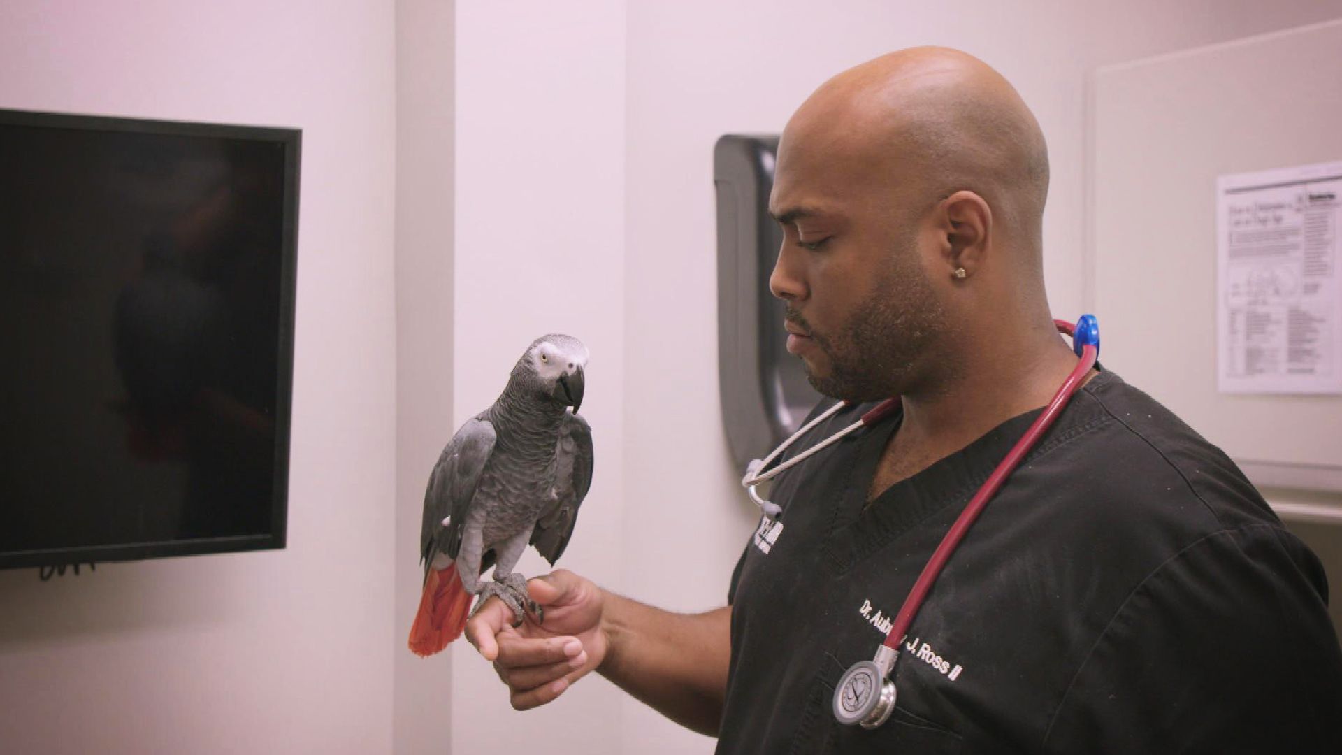 Wenn Kinder flügge werden