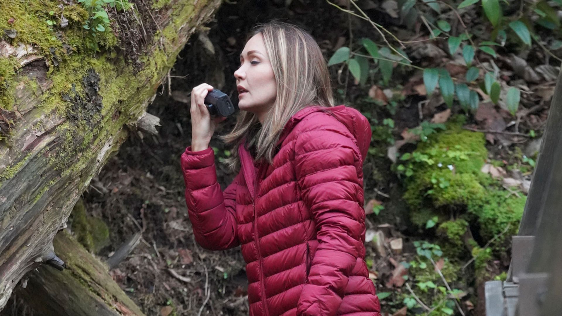 Die Wilden und die Whiskey-Brenner