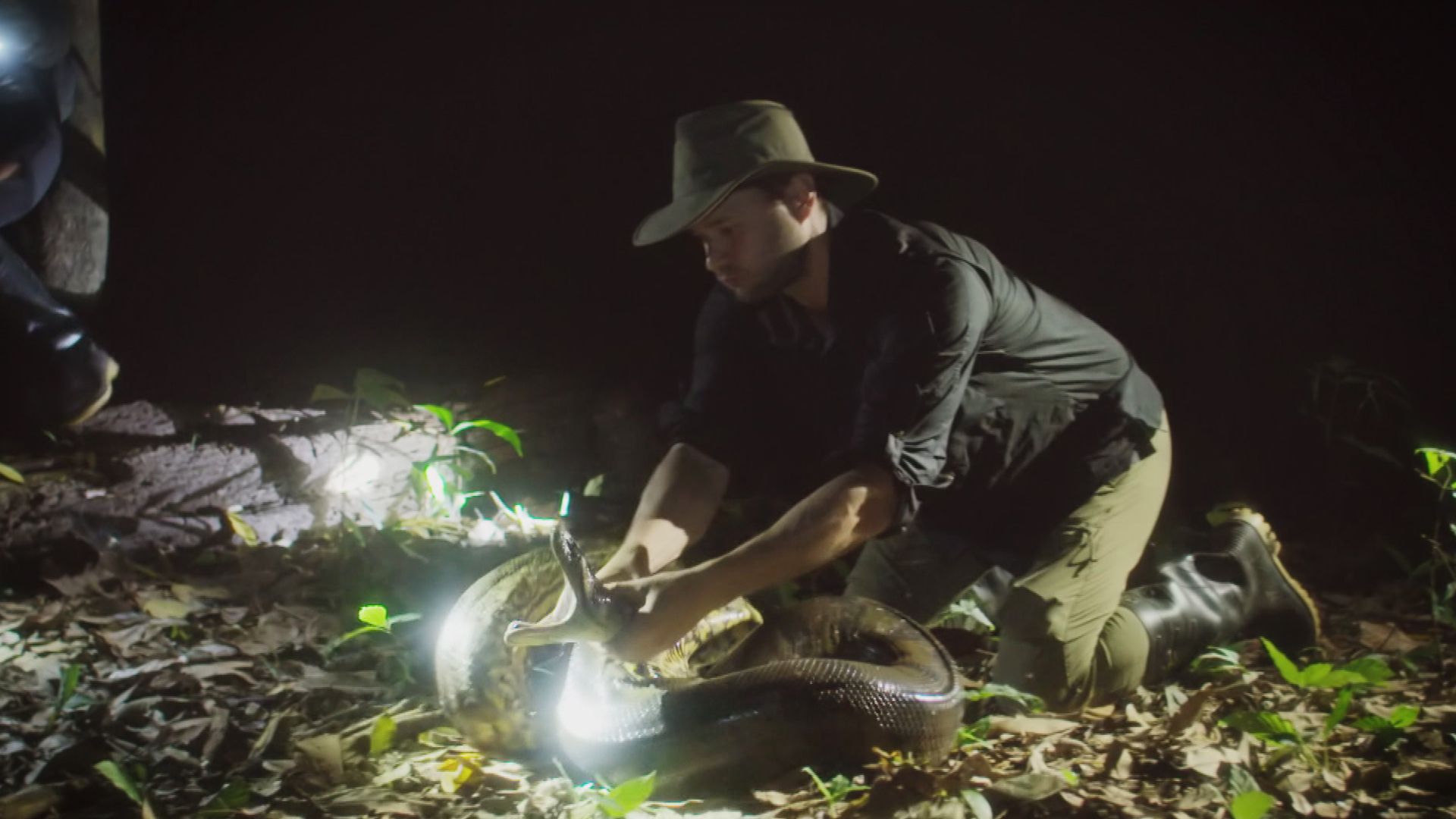 Yacumama – die Mutter des Wassers