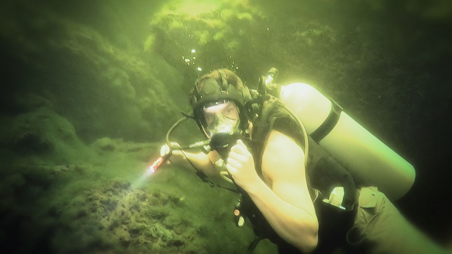 Das Seemonster der Bahamas