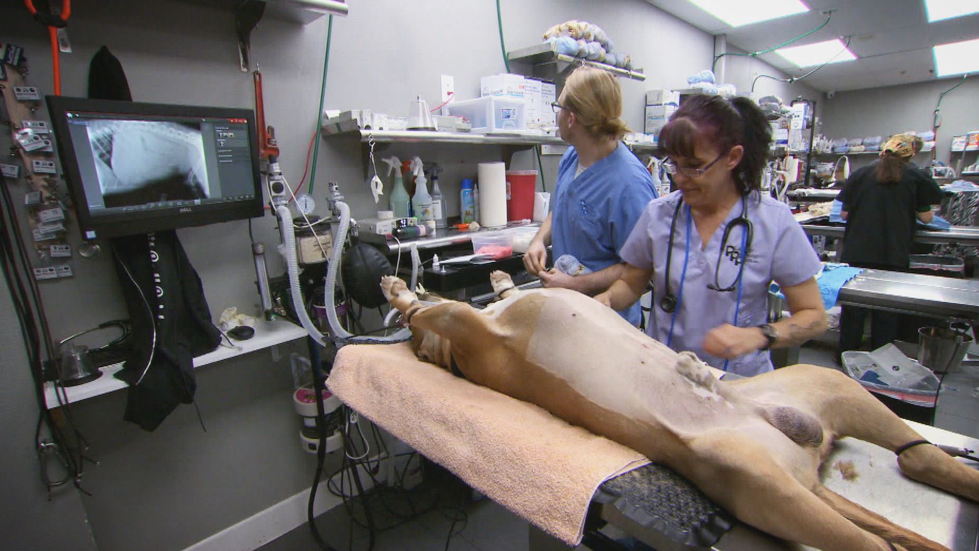 Ein Korken an der falschen Stelle