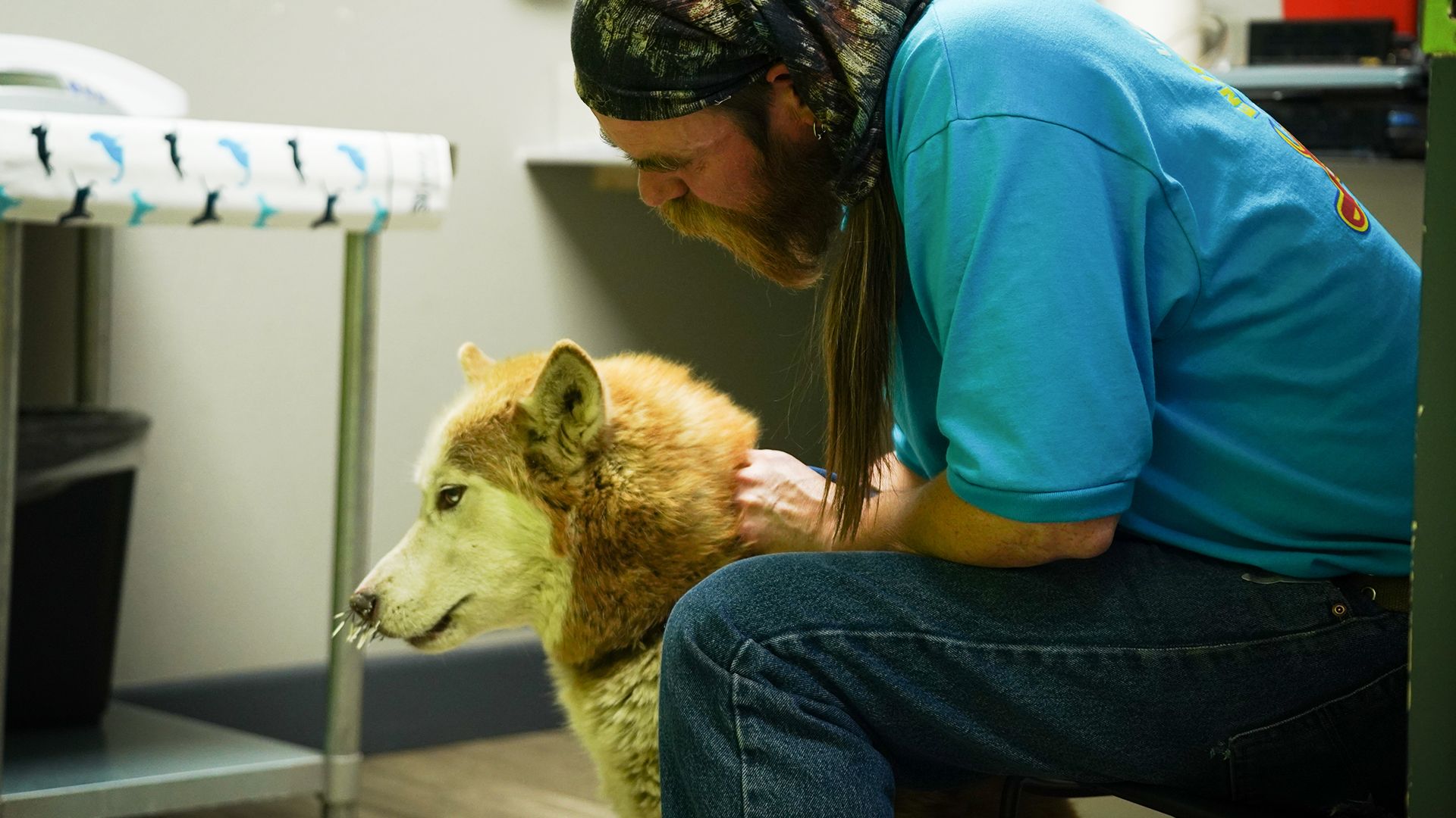 Im Dienst der Polizei – Hilfe für die Pferdestaffel