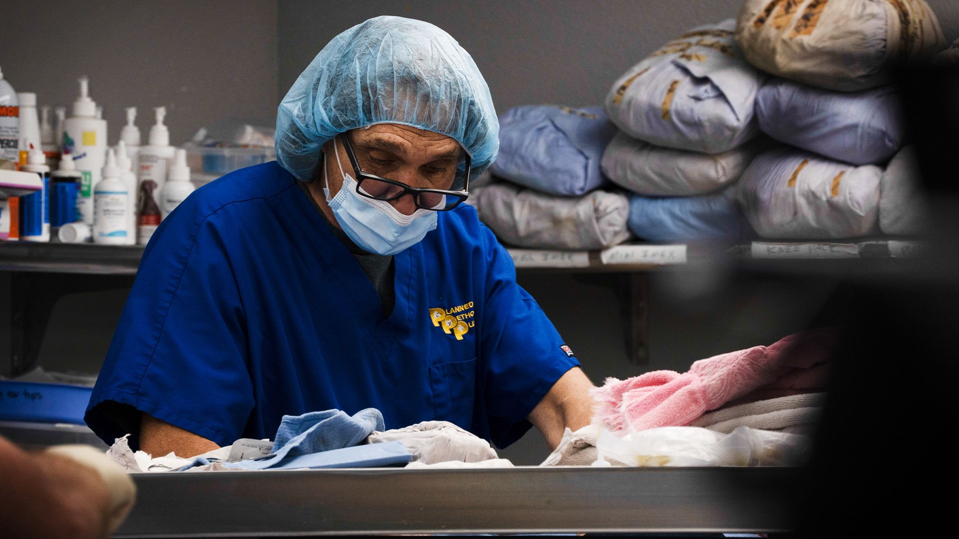 Das Frettchen und der Husky