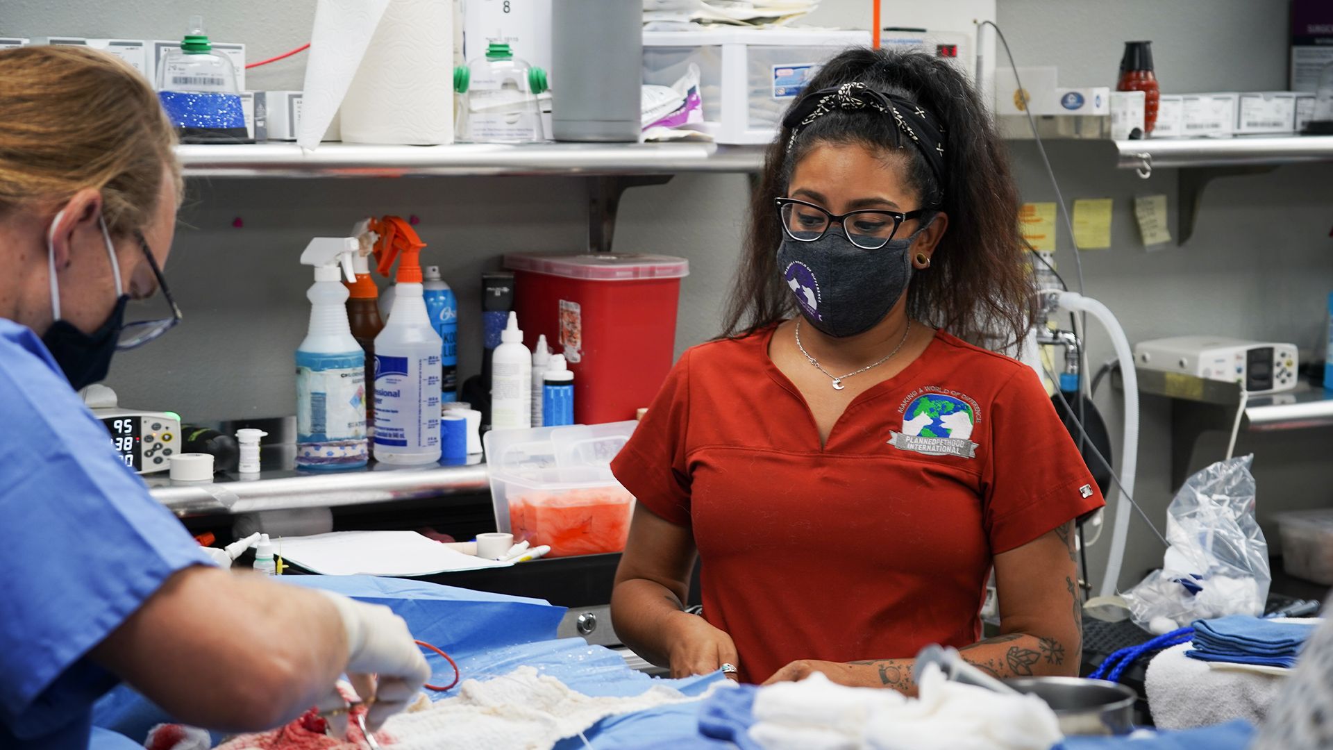 Hunde, Hähne und ein Kalb