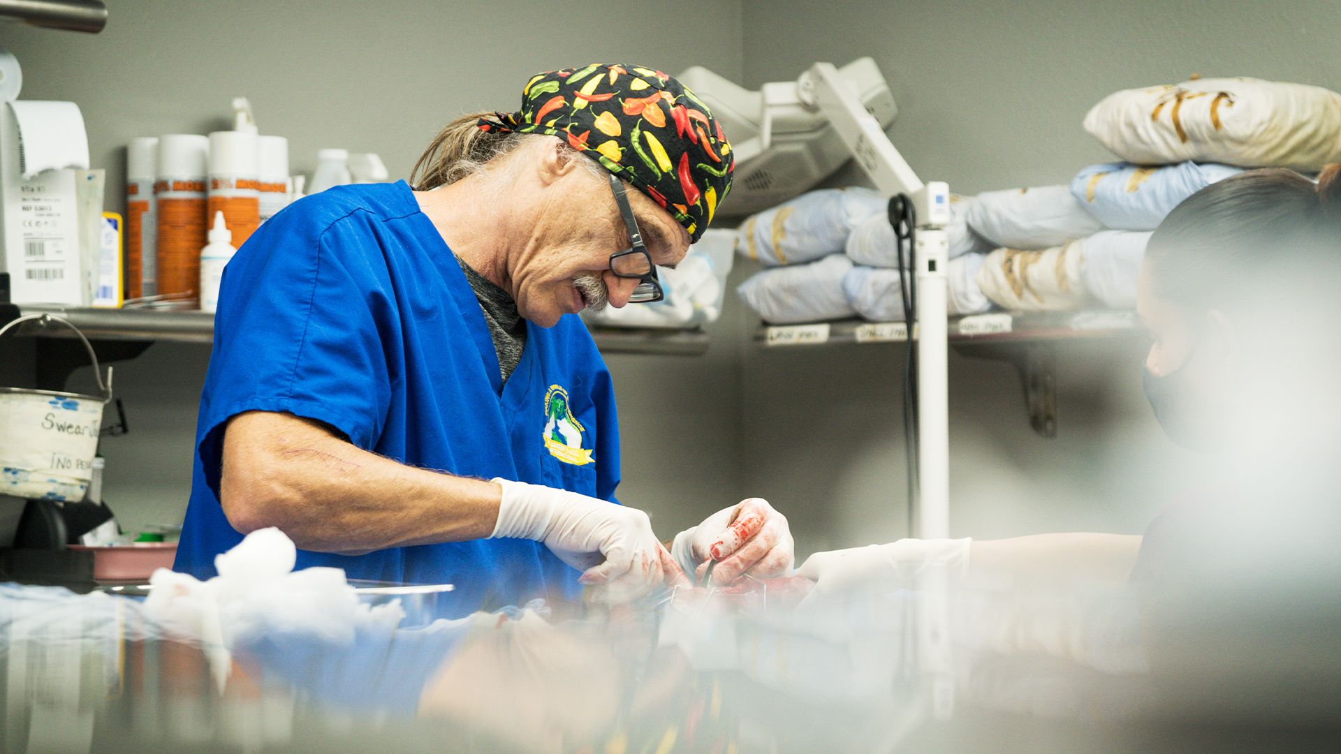 Der zweibeinige Hund und der Mini-Hamster