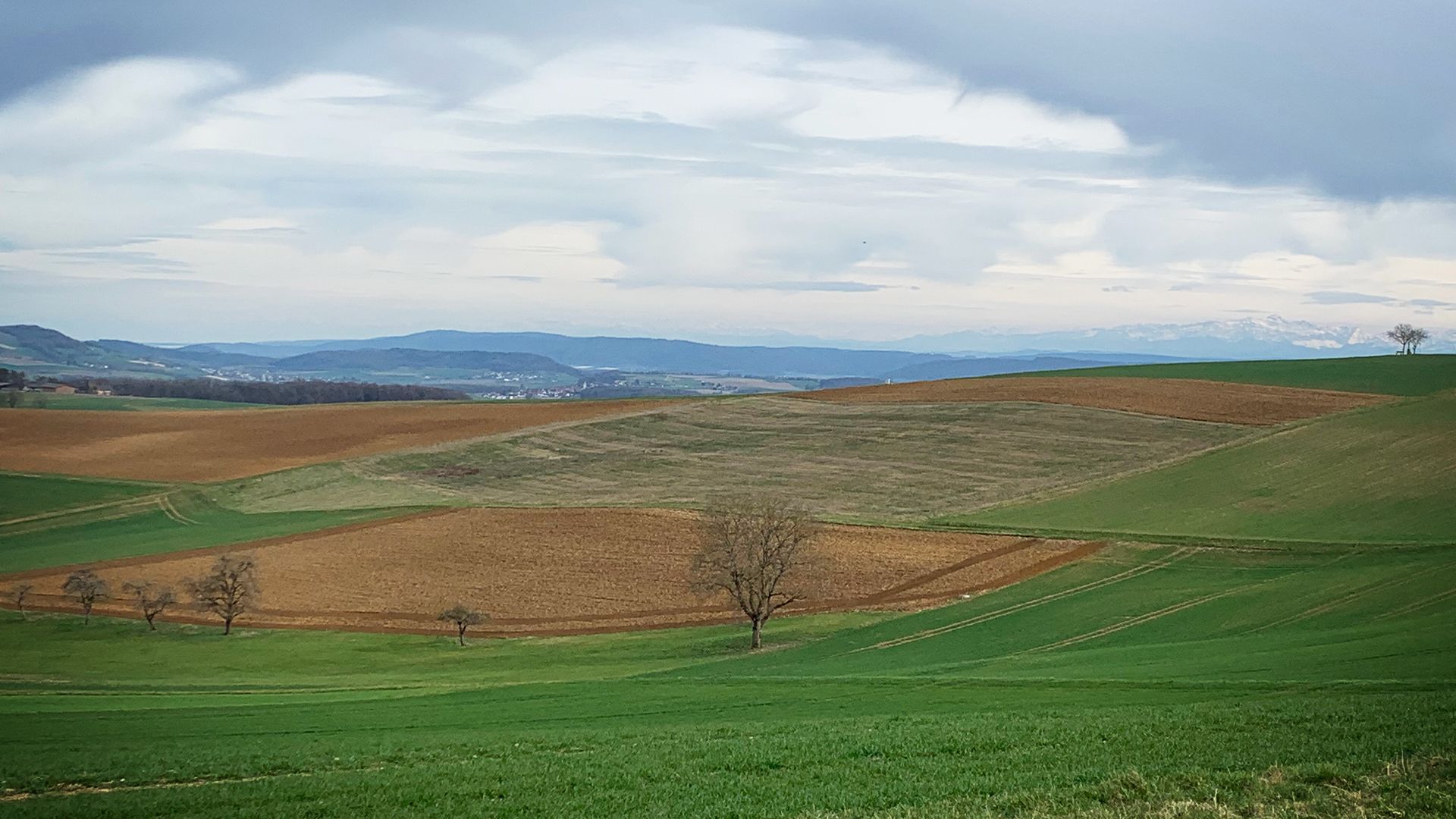 Es wird geackert