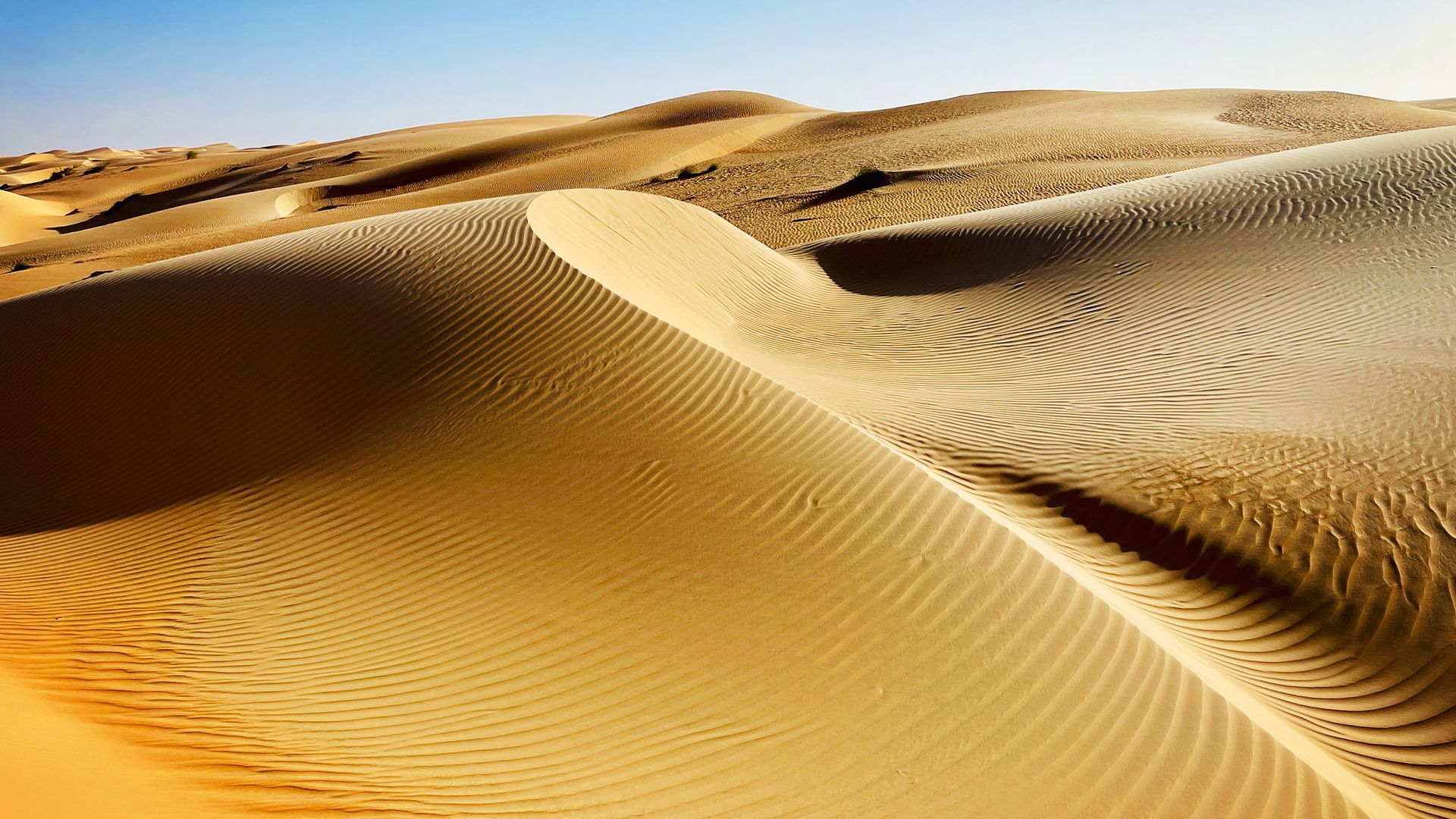 Auf den Spuren der Salzkarawanen - Im Meer aus Sand