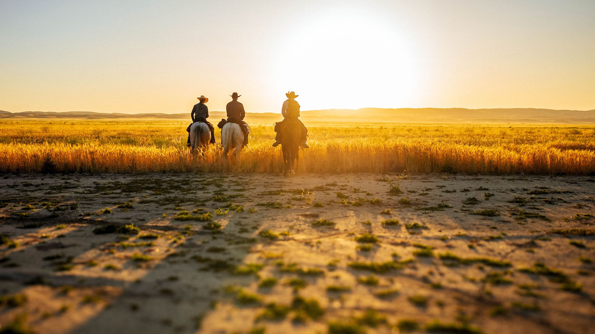 Die Cowboy-Challenge - Der große Treck