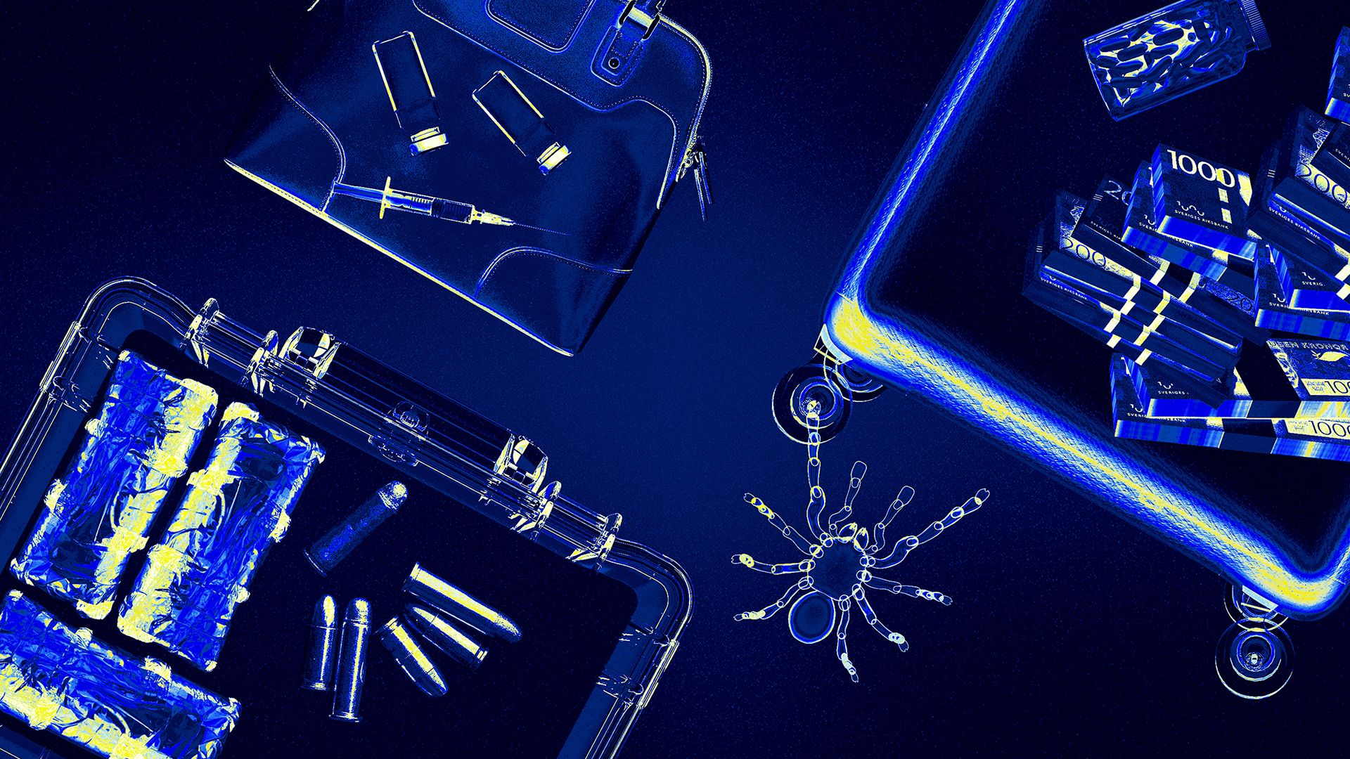 Border Control: Schwedens Grenzschützer