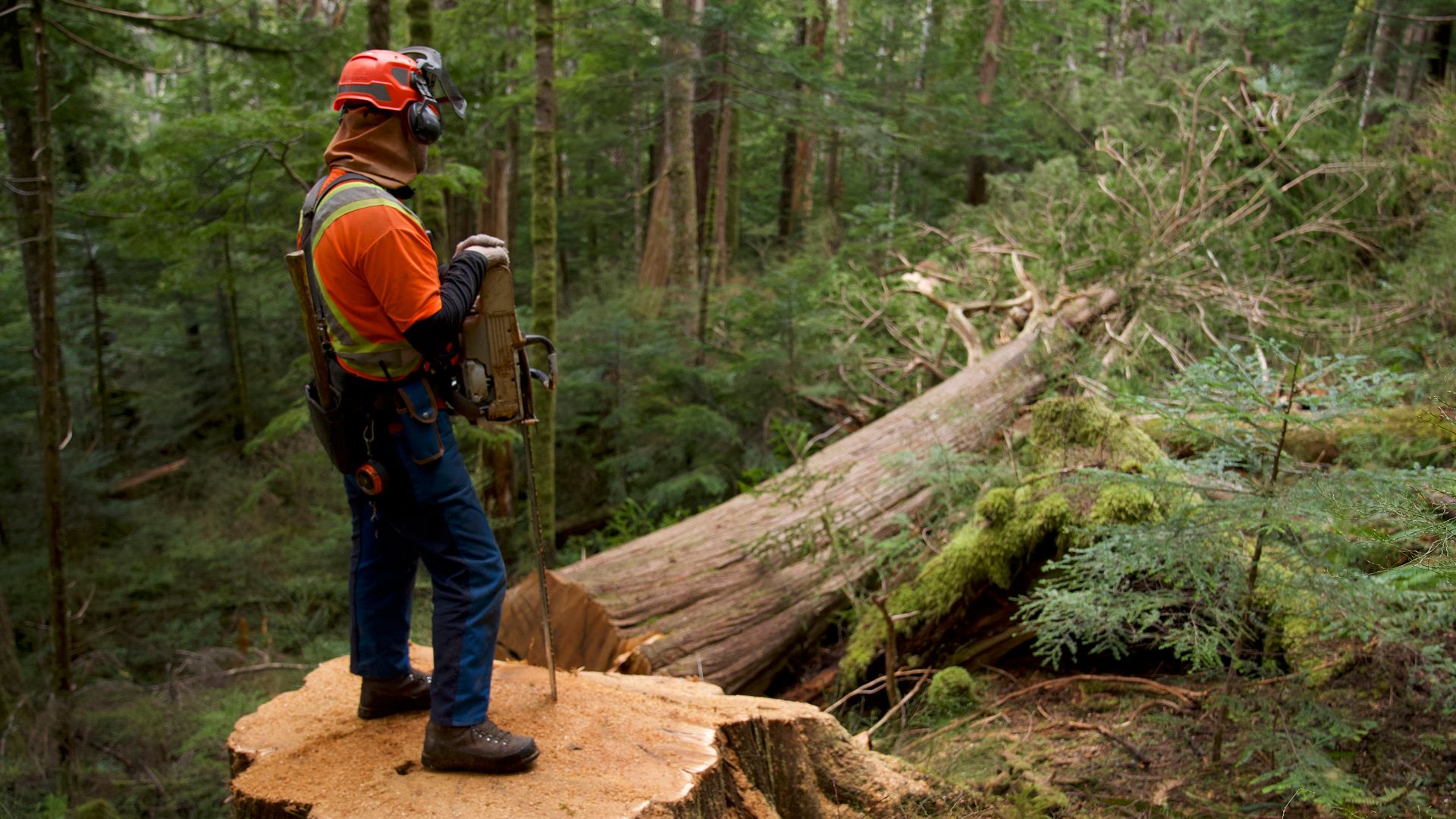 Ein Eimer voll Diesel