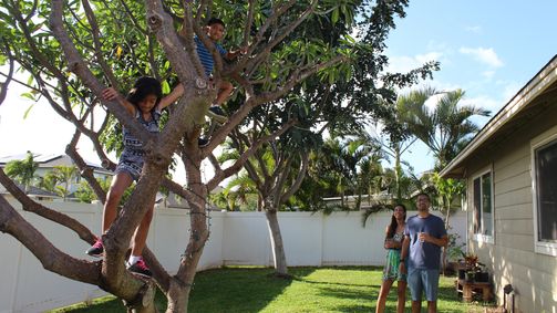 Familientraum auf Maui