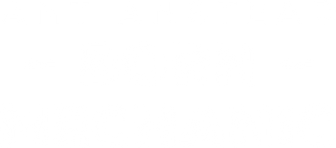 Ant Anstead: Born Mechanic