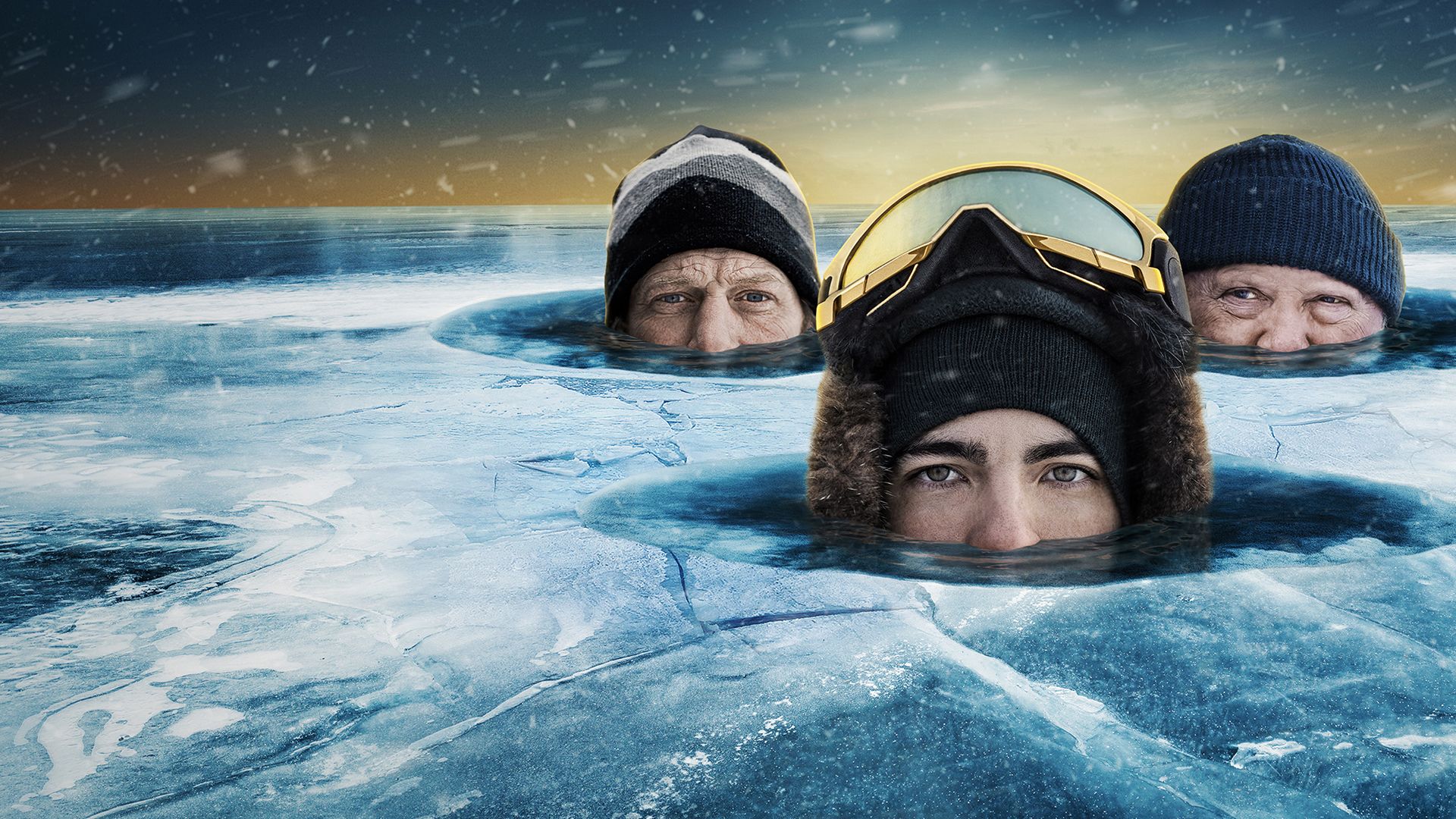 Goldtaucher der Beringsee