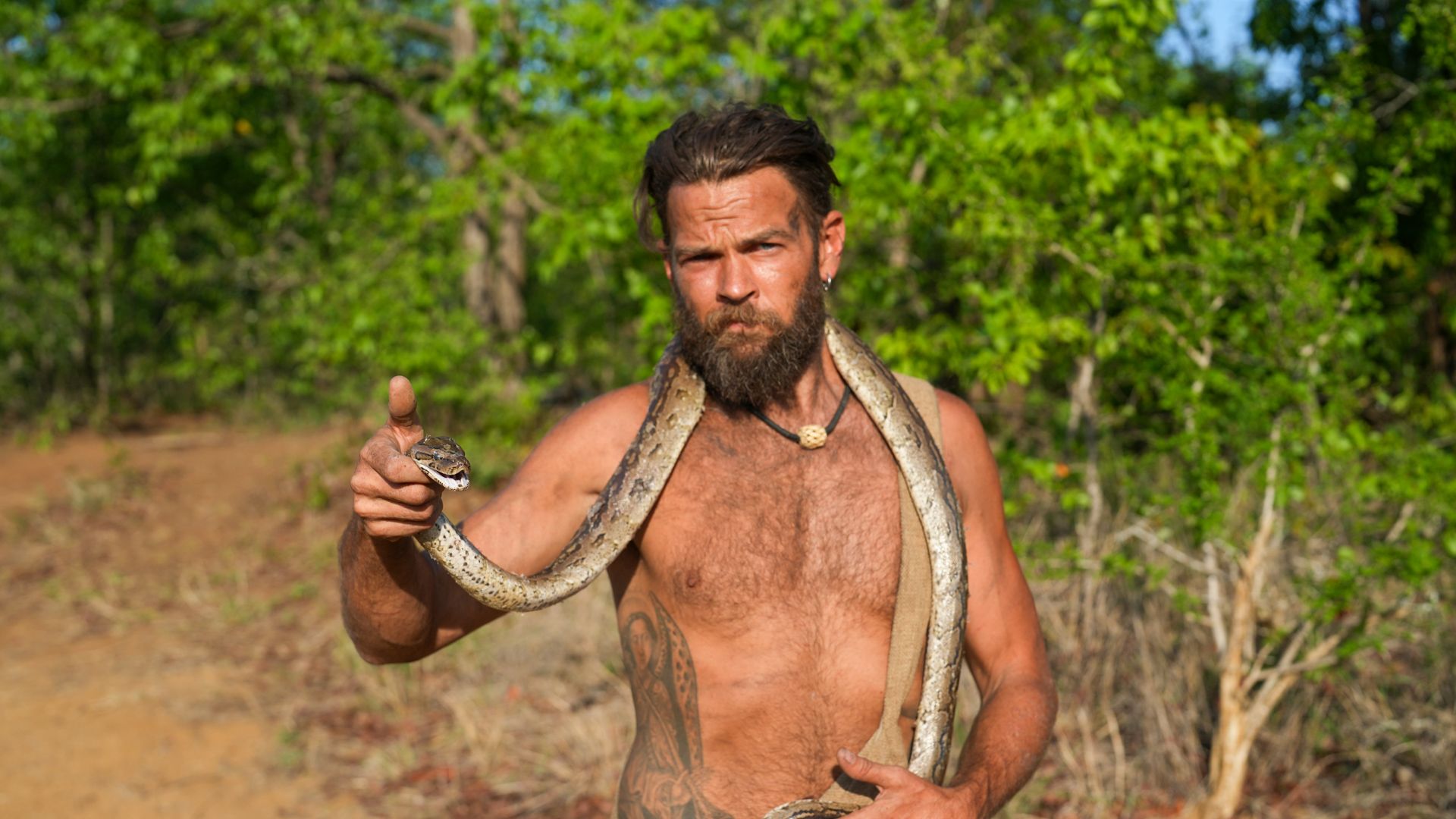 Zurück in die Zivilisation