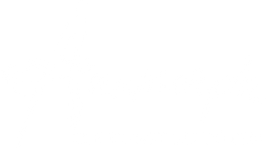 Anamorph - Die Kunst zu töten