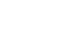 Almost Human
