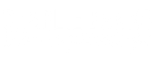 Charlie Banks - Der Augenzeuge