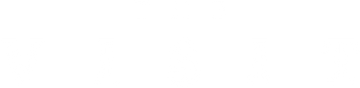 The Visit