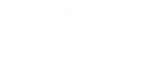 xXx: Die Rückkehr des Xander Cage
