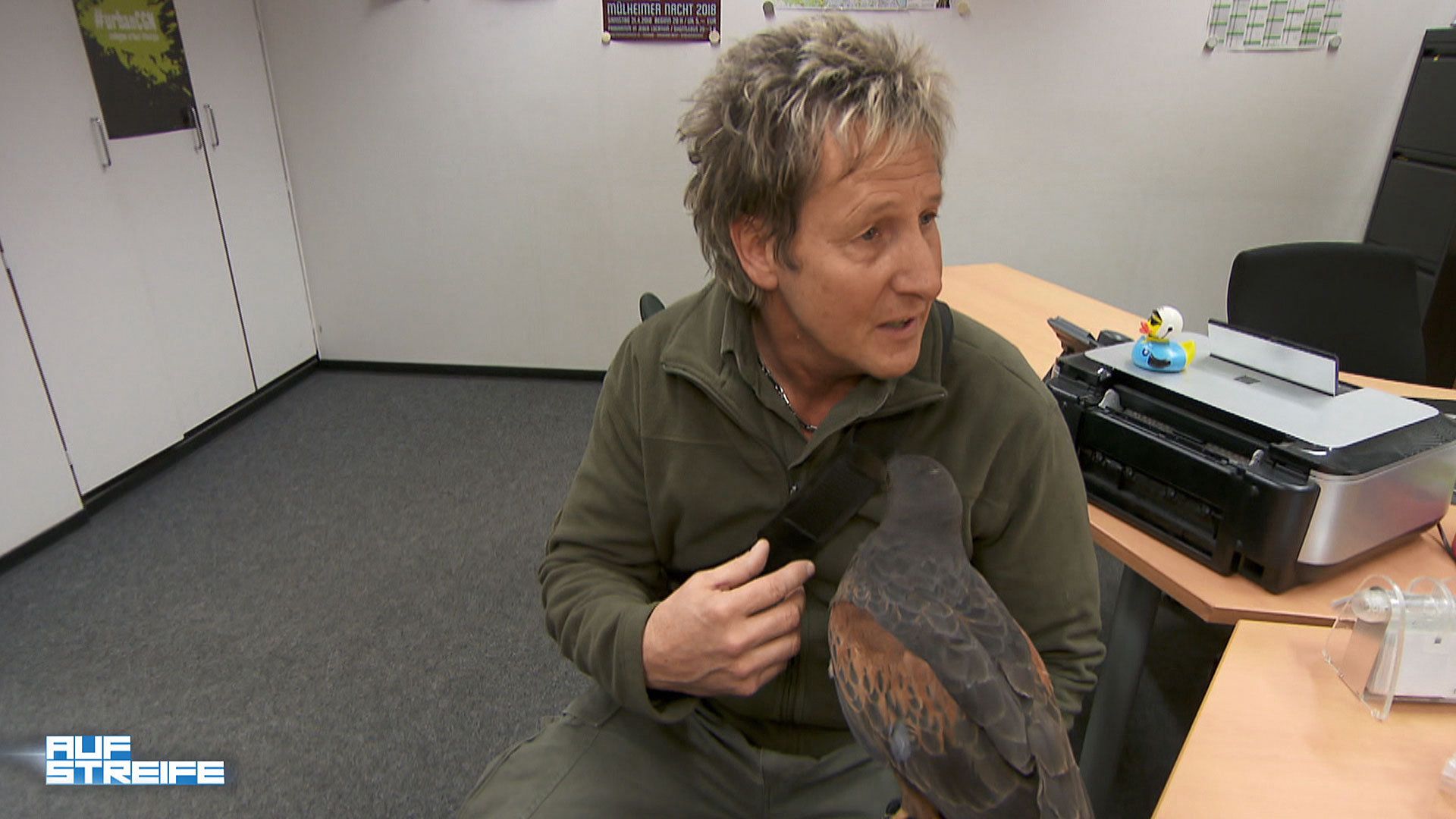 Den Vogel abgeschossen