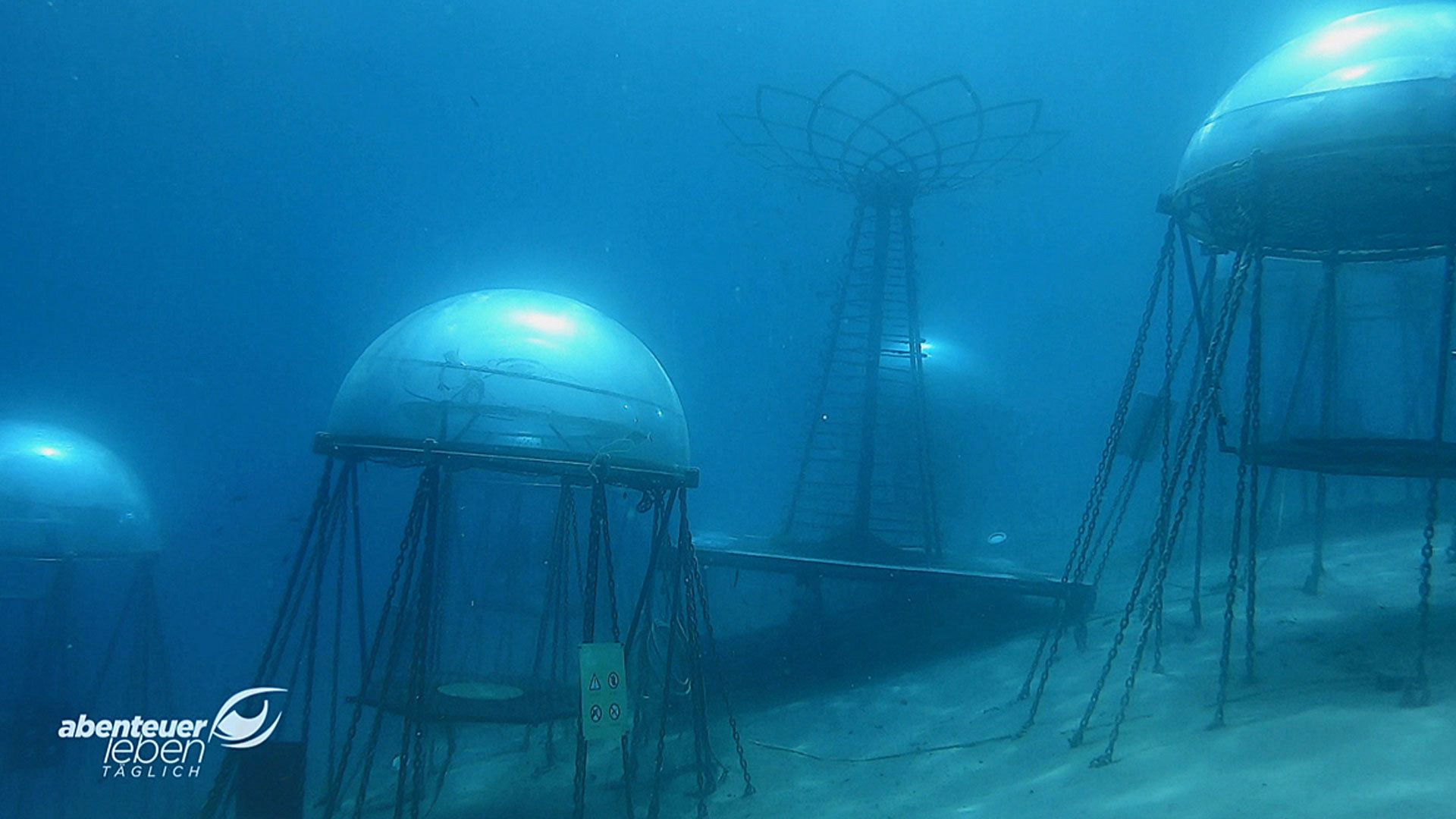 Abgetaucht: Gemüsefarm im Meer