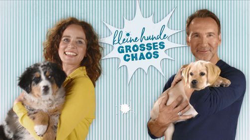 Kleine Hunde - Großes Chaos Staffel 01 Folge 1: Folge 1