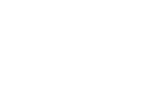 Wunder auf 4 Pfoten