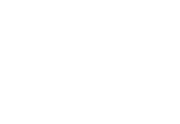 Wunder auf 4 Pfoten