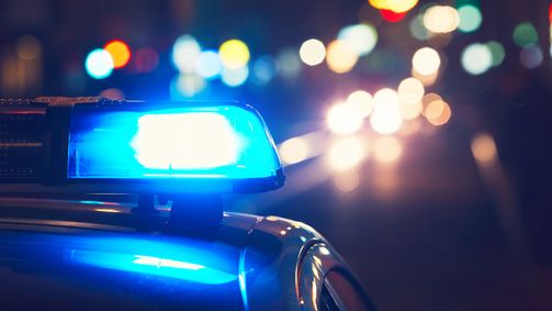 Stopp, Polizei! Stopp, Polizei! Folge 2: Auf der Jagd nach Kriminellen