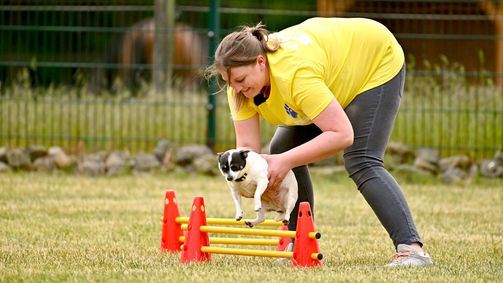 Mein Hund, die Kilos und ich Staffel 01 Folge 1: Folge 1