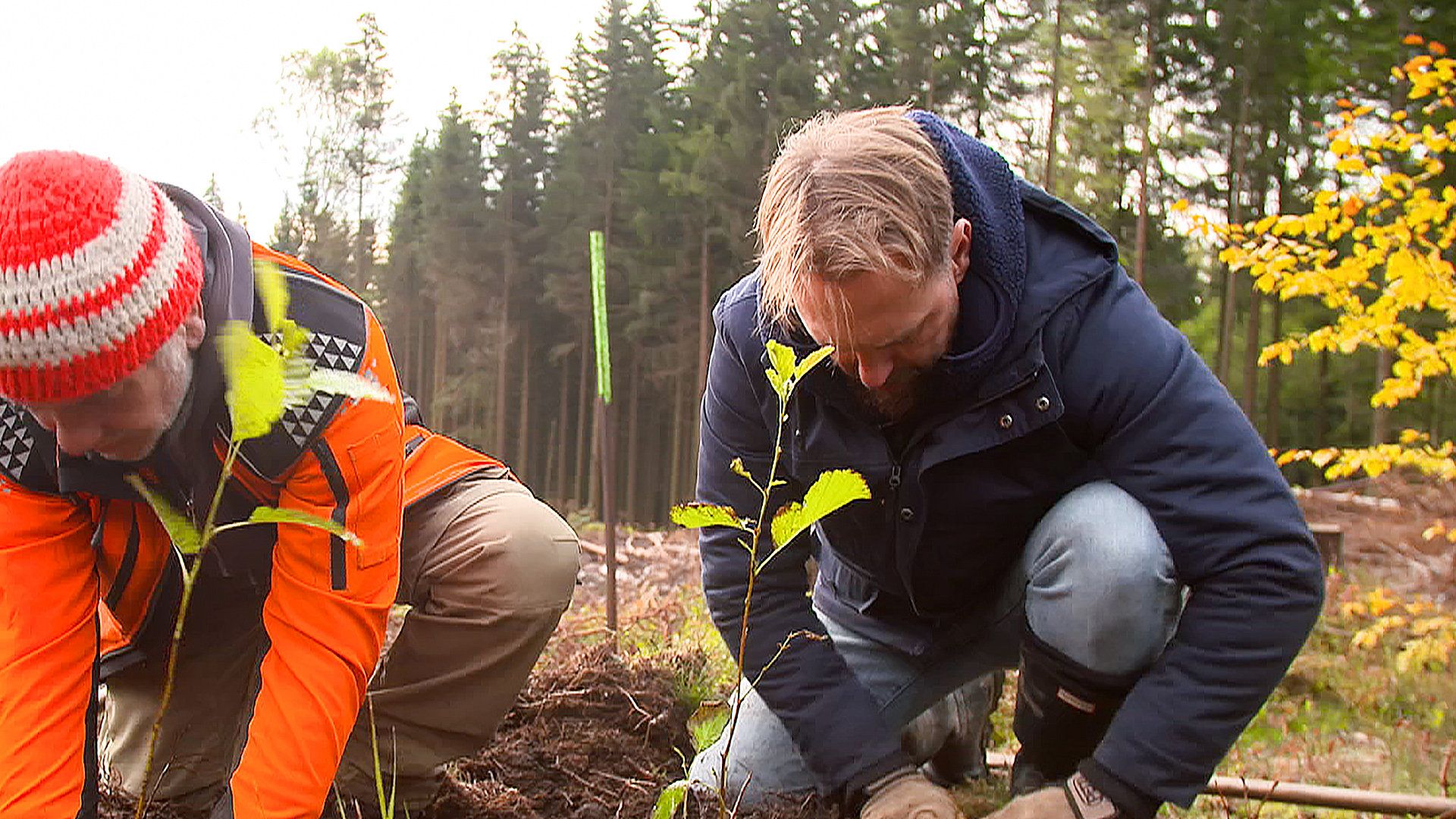 Operation Wald - So retten wir unseren Planeten!