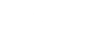 Die Unschuld der Rachel Wilson