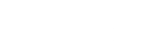 Steven Seagal - Mercenary