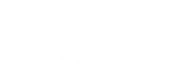 Die Frau am Brandenburger Tor - 9. Nov 1989