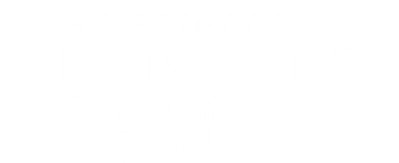 Die Reise des Weihnachtsbaums