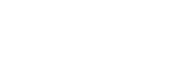 Lethal Punisher