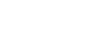 Viking Vengeance