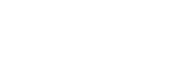 Wild Beasts