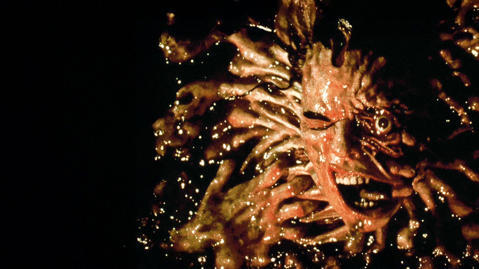 Amityville - Face of Terror