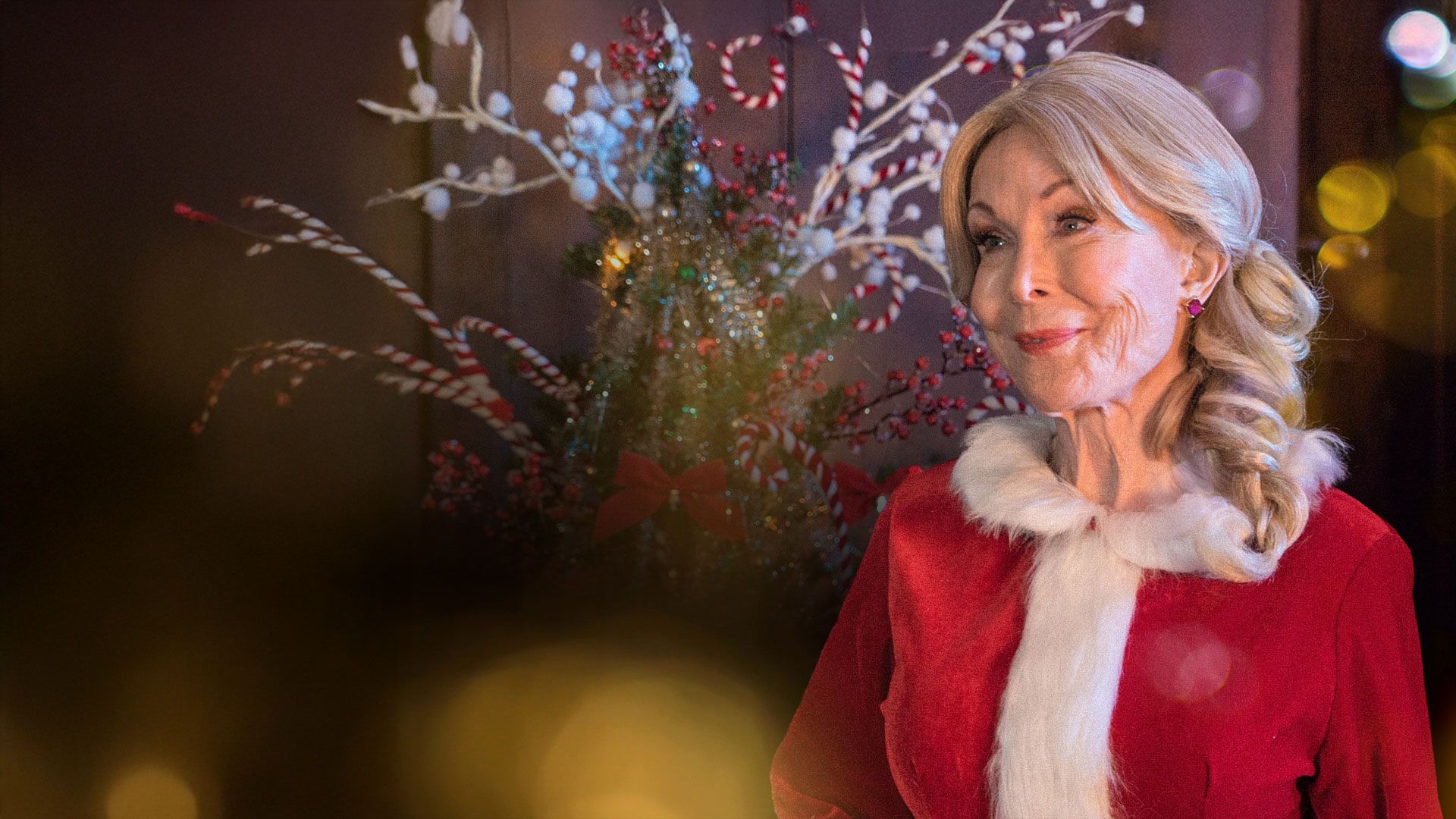 Dear Santa - Eine Reise zum Nordpol